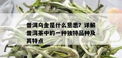 普洱乌金是什么意思？详解普洱茶中的一种独特品种及其特点