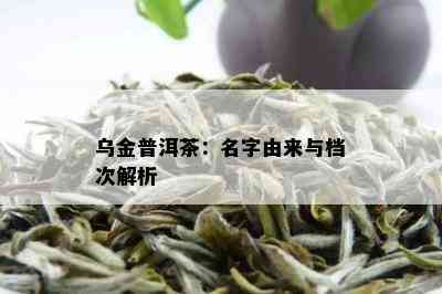 乌金普洱茶：名字由来与档次解析