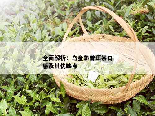 全面解析：乌金熟普洱茶口感及其优缺点