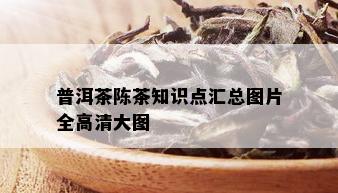 普洱茶陈茶知识点汇总图片全高清大图