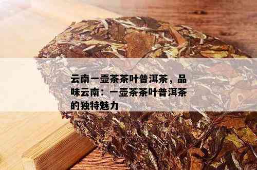 云南一壶茶茶叶普洱茶，品味云南：一壶茶茶叶普洱茶的独特魅力