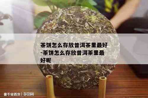 茶饼怎么存放普洱茶里更好-茶饼怎么存放普洱茶里更好呢