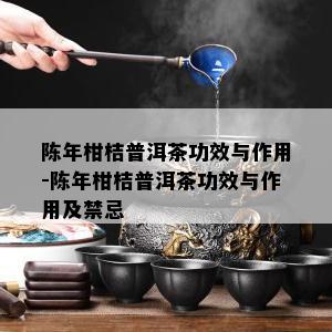 陈年柑桔普洱茶功效与作用-陈年柑桔普洱茶功效与作用及禁忌