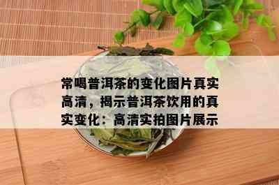 常喝普洱茶的变化图片真实高清，揭示普洱茶饮用的真实变化：高清实拍图片展示