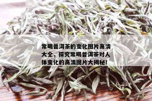 常喝普洱茶的变化图片高清大全，探究常喝普洱茶对人体变化的高清图片大揭秘！