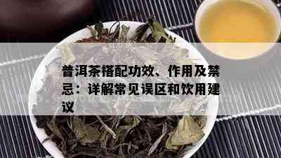 普洱茶搭配功效、作用及禁忌：详解常见误区和饮用建议