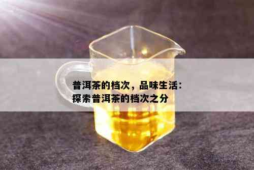 普洱茶的档次，品味生活：探索普洱茶的档次之分