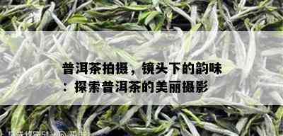 普洱茶拍摄，镜头下的韵味：探索普洱茶的美丽摄影