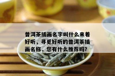 普洱茶插画名字叫什么来着好听，寻觅好听的普洱茶插画名称，您有什么推荐吗？