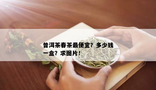 普洱茶春茶更便宜？多少钱一盒？求图片！