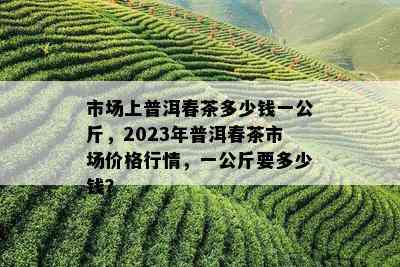 市场上普洱春茶多少钱一公斤，2023年普洱春茶市场价格行情，一公斤要多少钱？