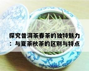 探究普洱茶春茶的独特魅力：与夏茶秋茶的区别与特点