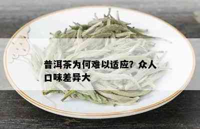 普洱茶为何难以适应？众人口味差异大