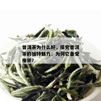 普洱茶为什么好，探究普洱茶的独特魅力：为何它备受推崇？