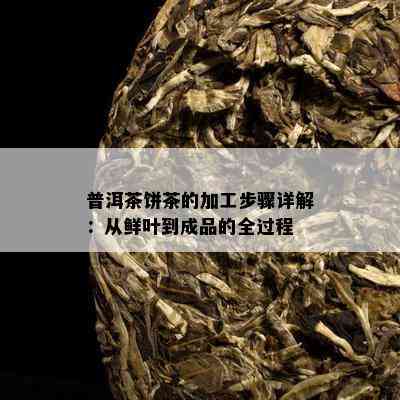 普洱茶饼茶的加工步骤详解：从鲜叶到成品的全过程