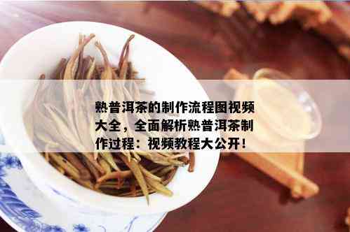 熟普洱茶的制作流程图视频大全，全面解析熟普洱茶制作过程：视频教程大公开！