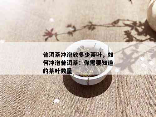 普洱茶冲泡放多少茶叶，如何冲泡普洱茶：你需要知道的茶叶数量