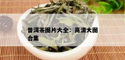 普洱茶图片大全：高清大图合集