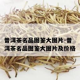 普洱茶名品图鉴大图片-普洱茶名品图鉴大图片及价格