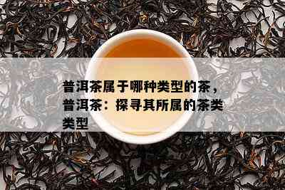 普洱茶属于哪种类型的茶，普洱茶：探寻其所属的茶类类型