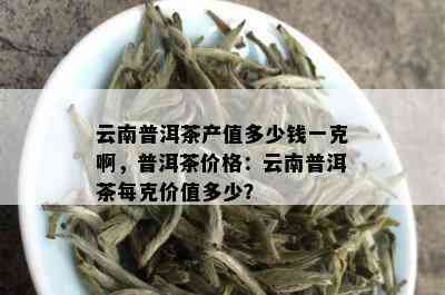 云南普洱茶产值多少钱一克啊，普洱茶价格：云南普洱茶每克价值多少？