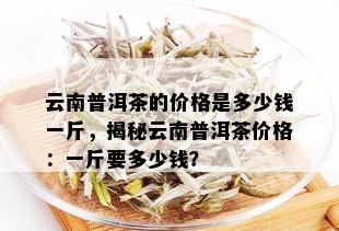 云南普洱茶的价格是多少钱一斤，揭秘云南普洱茶价格：一斤要多少钱？