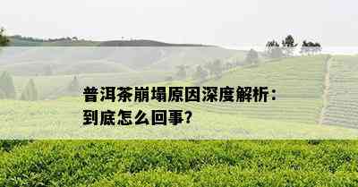 普洱茶崩塌原因深度解析：到底怎么回事？