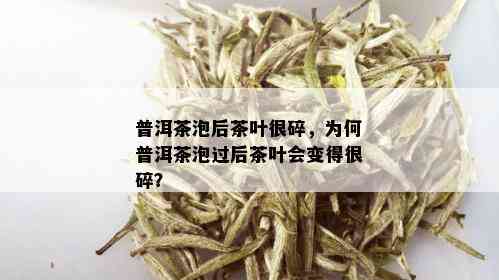 普洱茶泡后茶叶很碎，为何普洱茶泡过后茶叶会变得很碎？