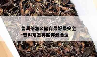 普洱茶怎么储存更好最安全-普洱茶怎样储存最合适