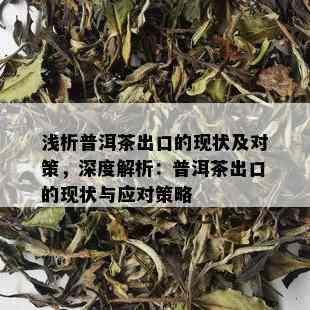 浅析普洱茶出口的现状及对策，深度解析：普洱茶出口的现状与应对策略