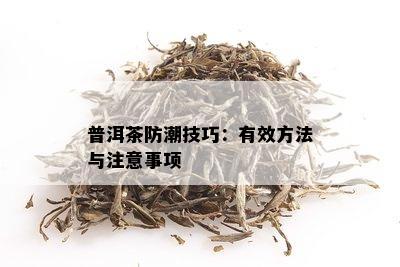 普洱茶防潮技巧：有效方法与注意事项