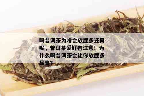 喝普洱茶为啥会放屁多还臭呢，普洱茶爱好者注意！为什么喝普洱茶会让你放屁多且臭？