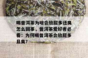 喝普洱茶为啥会放屁多还臭怎么回事，普洱茶爱好者必看：为何喝普洱茶会放屁多且臭？