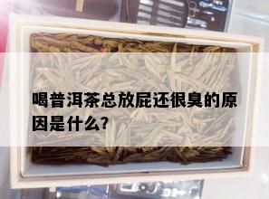 喝普洱茶总放屁还很臭的原因是什么？