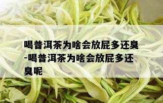 喝普洱茶为啥会放屁多还臭-喝普洱茶为啥会放屁多还臭呢