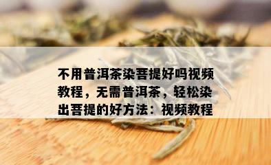 不用普洱茶染菩提好吗视频教程，无需普洱茶，轻松染出菩提的好方法：视频教程