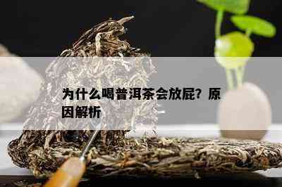 为什么喝普洱茶会放屁？原因解析