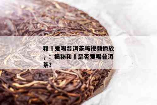 和珅爱喝普洱茶吗视频播放，：揭秘和珅是否爱喝普洱茶？