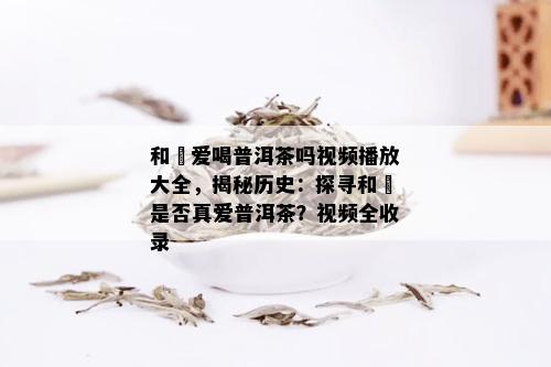 和珅爱喝普洱茶吗视频播放大全，揭秘历史：探寻和珅是否真爱普洱茶？视频全收录