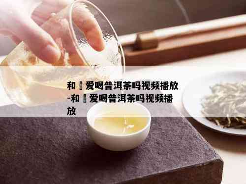 和珅爱喝普洱茶吗视频播放-和珅爱喝普洱茶吗视频播放