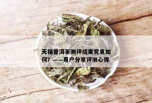 天福普洱茶测评结果究竟如何？——用户分享评测心得