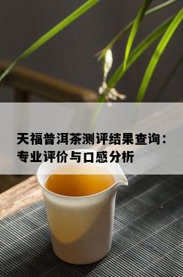 天福普洱茶测评结果查询：专业评价与口感分析