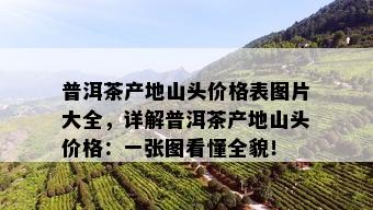 普洱茶产地山头价格表图片大全，详解普洱茶产地山头价格：一张图看懂全貌！