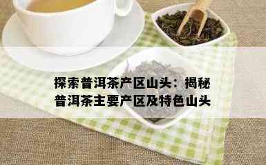 探索普洱茶产区山头：揭秘普洱茶主要产区及特色山头