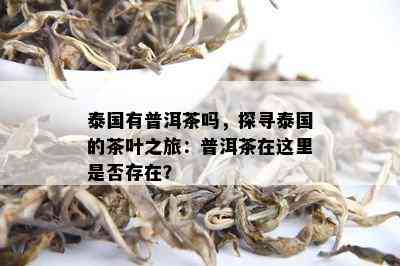 泰国有普洱茶吗，探寻泰国的茶叶之旅：普洱茶在这里是否存在？