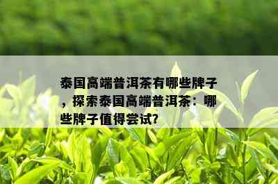 泰国高端普洱茶有哪些牌子，探索泰国高端普洱茶：哪些牌子值得尝试？