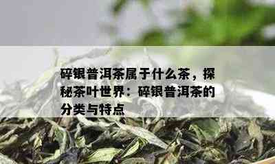 碎银普洱茶属于什么茶，探秘茶叶世界：碎银普洱茶的分类与特点