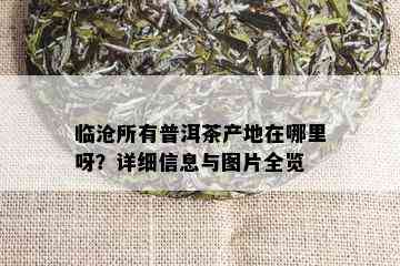 临沧所有普洱茶产地在哪里呀？详细信息与图片全览