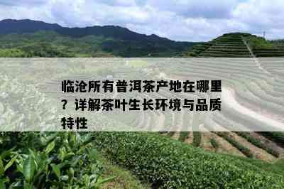 临沧所有普洱茶产地在哪里？详解茶叶生长环境与品质特性