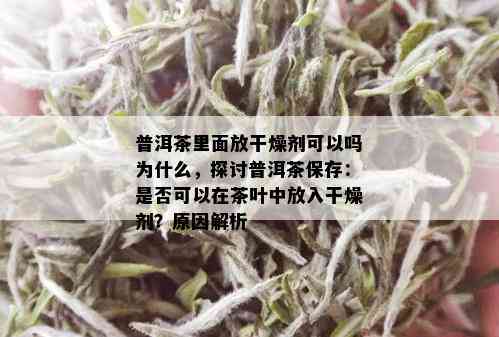 普洱茶里面放干燥剂可以吗为什么，探讨普洱茶保存：是否可以在茶叶中放入干燥剂？原因解析